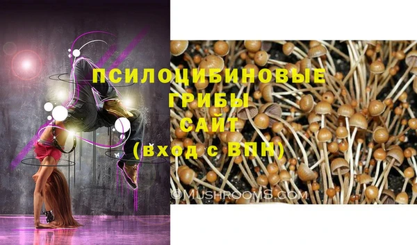 соль ск Бородино