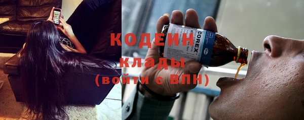 молекула духа Бронницы