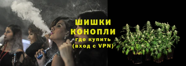 соль ск Бородино