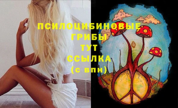 ALPHA-PVP Верхний Тагил