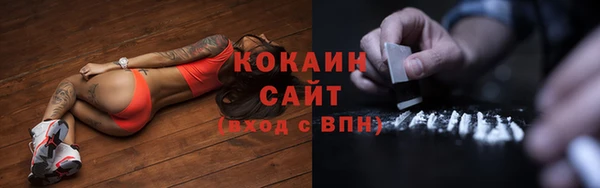 соль ск Бородино