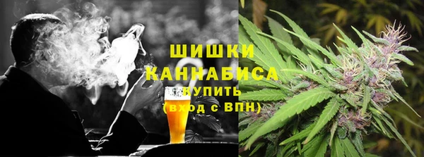 соль ск Бородино