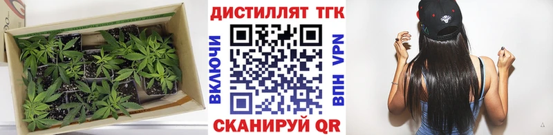 Дистиллят ТГК гашишное масло  блэк спрут ONION  мориарти как зайти  Цоци-Юрт 