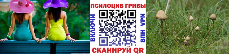 Галлюциногенные грибы MAGIC MUSHROOMS  Цоци-Юрт 